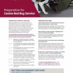 batzner's guide to preparing for bed bug extermination in wisconsin