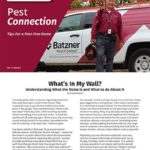 Batzner's guide to identifiying pests in your walls in wisconsin