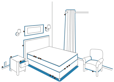 Bed bug illustration inspection areas