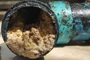 Drain line buildup at Batzner Pest Control in Wisconsin - Serving New Berlin, Green Bay, Milwaukee, Madison, Racine and surrounding areas