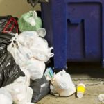 trash provides a haven for cockroaches at state university