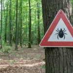 5 helpful hints to prevent tick bites in New Berlin WI - Batzner Pest Control serving Southeastern Wisconsin