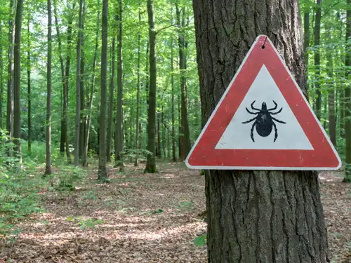 5 helpful hints to prevent tick bites in New Berlin WI - Batzner Pest Control serving Southeastern Wisconsin