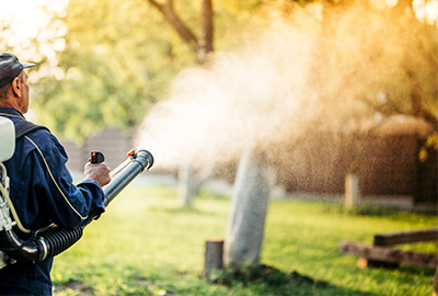 Mosquito Exterminators in Wisconsin - Batzner Pest Control