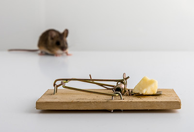 d-CON No View No Touch covered mouse trap. Mousetrap Monday 