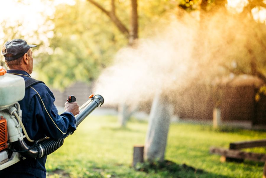 How to get rid of mosquitoes ion your yard in Wisconsin - Batzner Pest Control