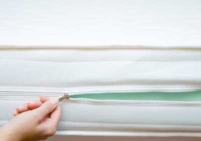 Bed bug prevention | New Berlin WI | Batzner Pest Control