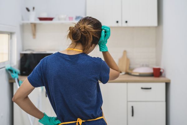 How To Clean Up After Rodents In Wisconsin | Batzner Pest Control