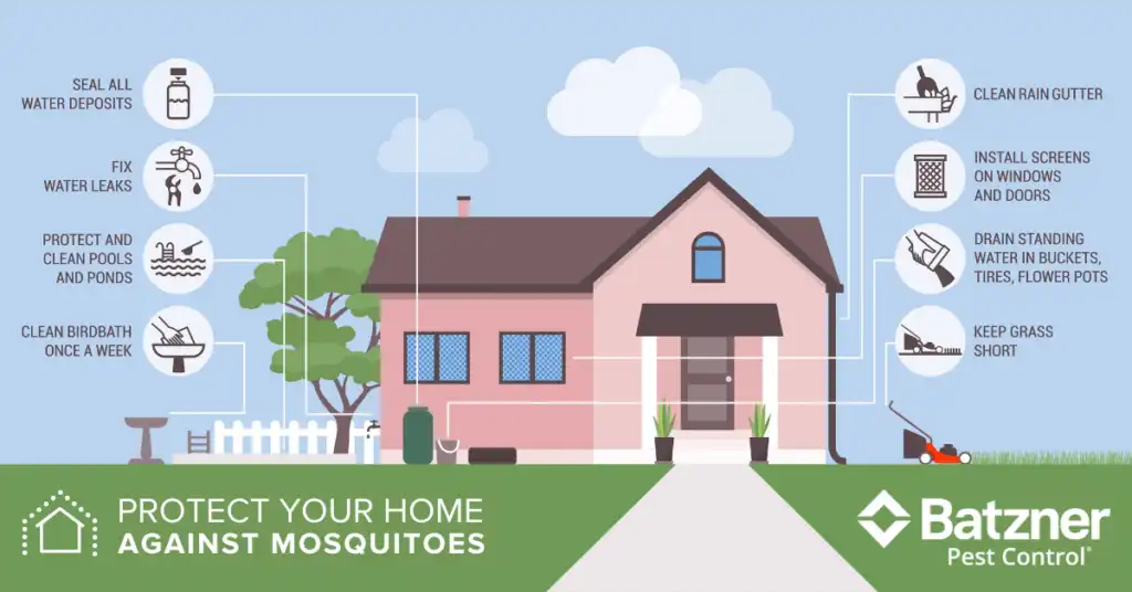 How to protect your home from mosquitoes in Wisconsin - Batzner Pest Control