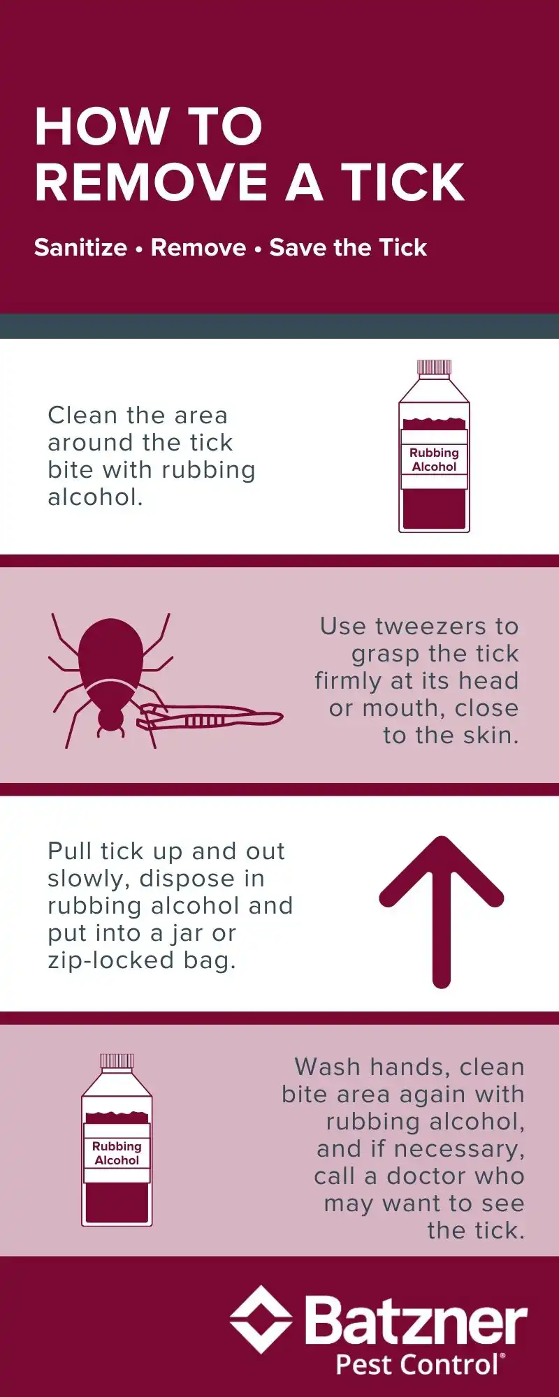 Tick removal guide - Batzner Pest Control in Wisconsin