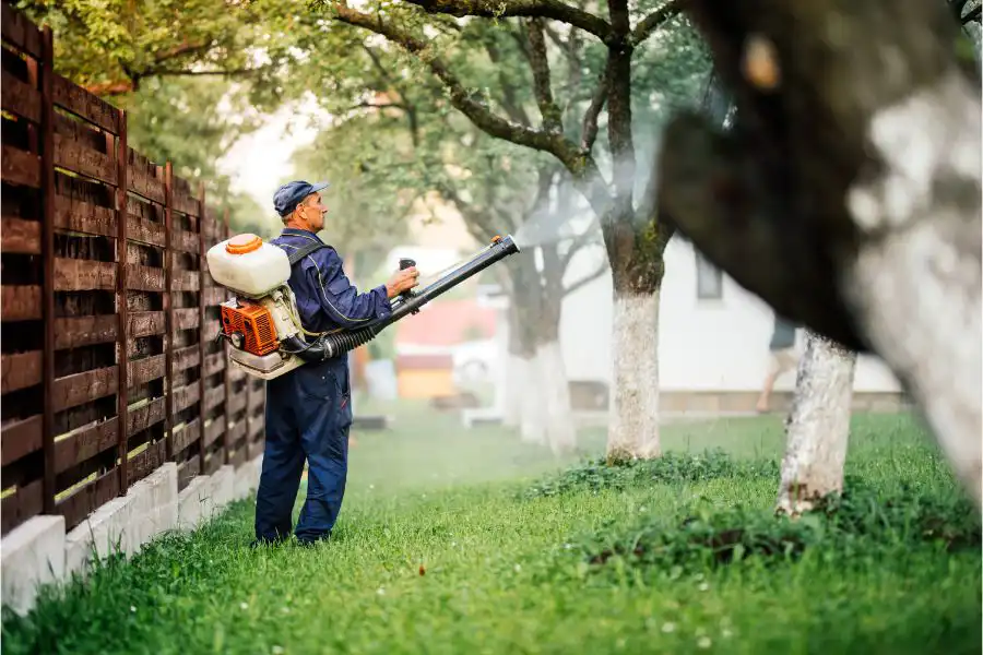 How To Prevent Mosquitoes In Your Wisconsin Yard - Batzner Pest Control