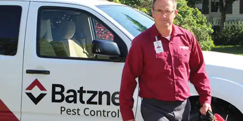 Spider exterminators serving all of Wisconsin - Batzner Pest Control