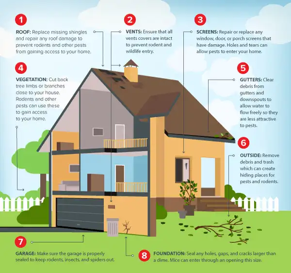 Graphic by Batzner Pest Control showcasing potential rodent entry points.