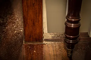 Termite saw dust piles at the base of a stair case
