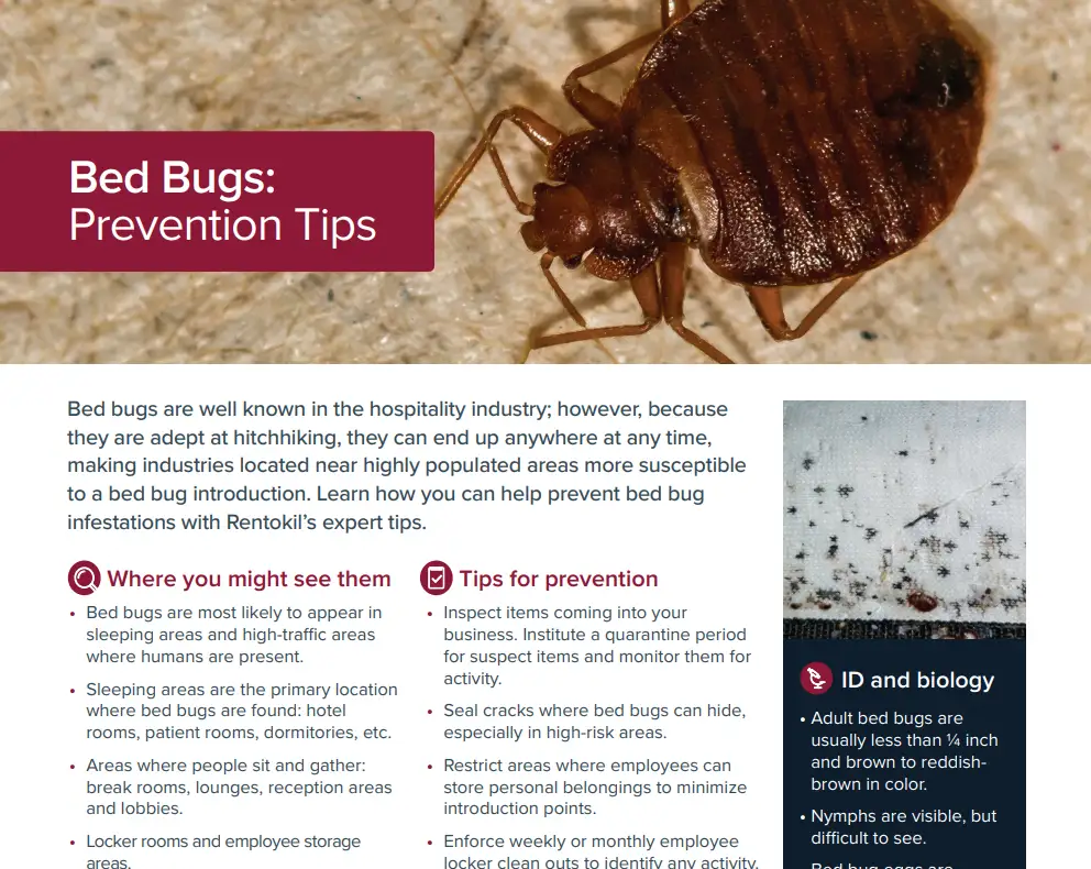 Bed Bugs: Prevention Tips
