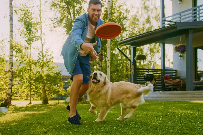 Man throwing frisbee in backyard with dog