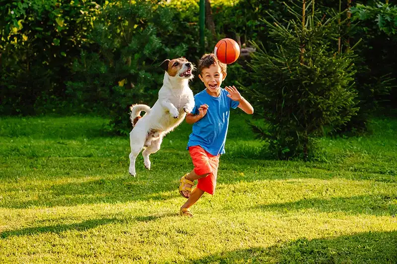 A young boy and his dog playing in a yard with a ball.
