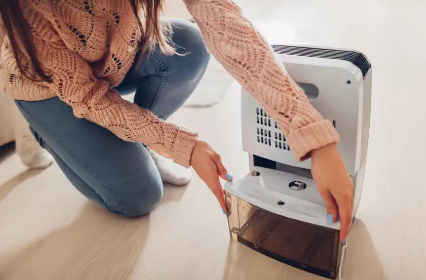 A woman empties a dehumidifier in home. Dehumidifiers work well to remove moisture, making your home or business less appealing to silverfish.