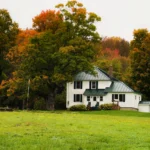 Wisconsin house before wildlife control