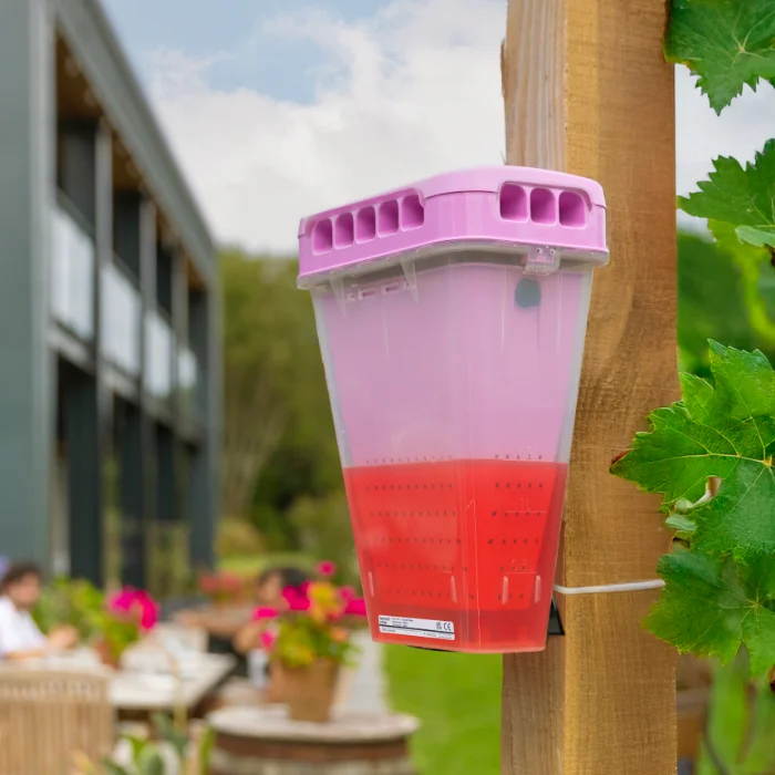 EcoCatch product hanging on the side of a wooden post outside of a Batzner protected for fly control of the families home.
