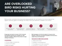 Need Help witih Commercial Bird Control?