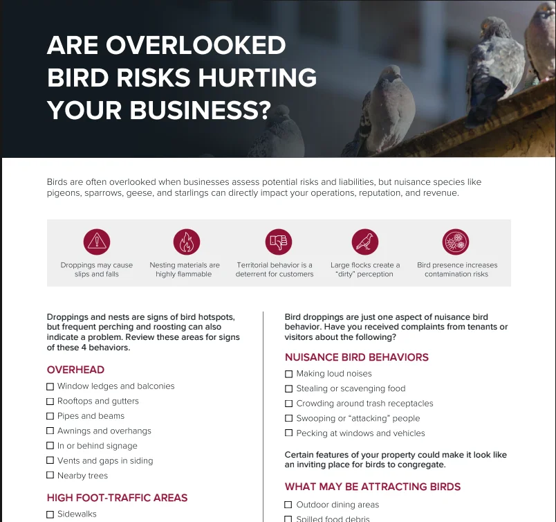 Download Your Bird Management Checklist PDF