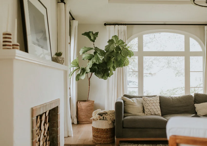 Freshly cleaned living room space interior of a Batzner home, still vulnerable to pests.