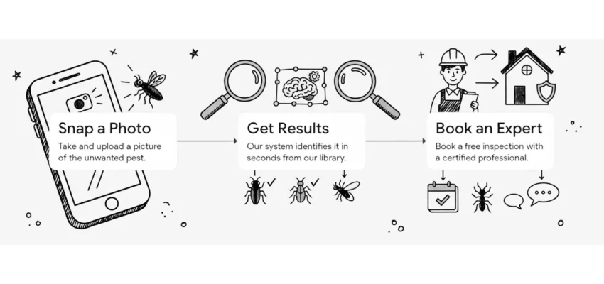 Black and white infographic showing a smartphone pest identification app process leading to expert booking.