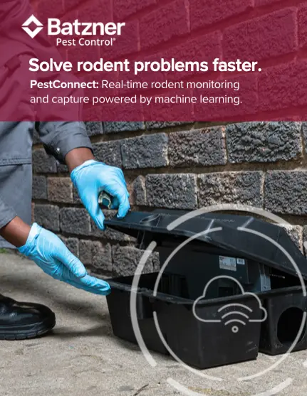 Solve rodent problems faster.