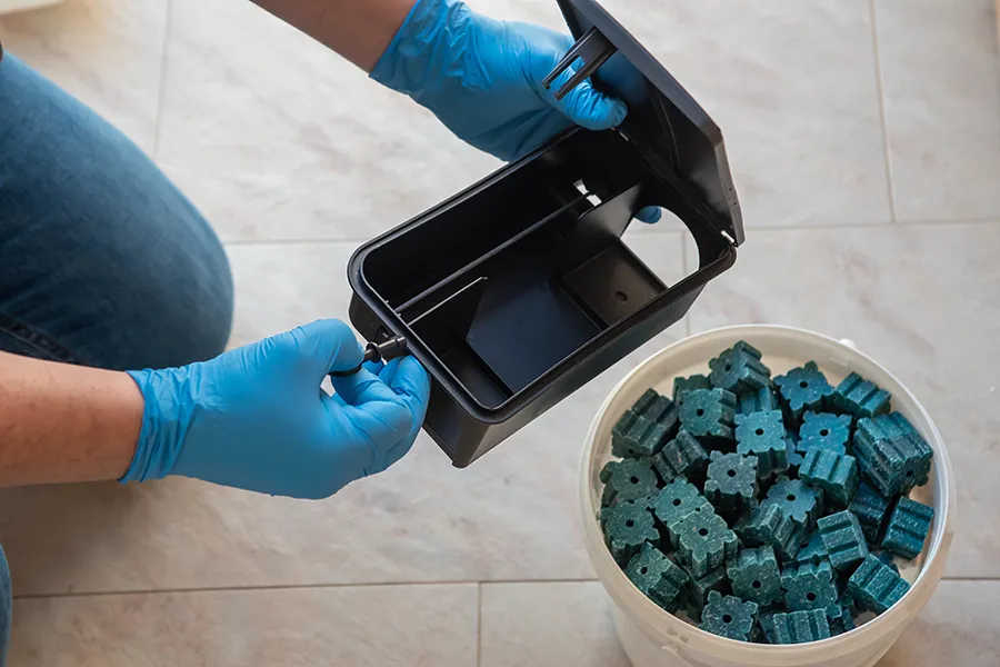 A person wearing blue protective gloves safely opening a black rat bait station next to a bucket filled with green rodenticide blocks.